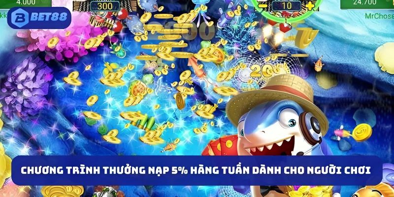 Chương trình thưởng nạp 5% hàng tuần dành cho người chơi 